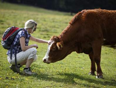 Wandern in der Region Joglland - Waldheimat