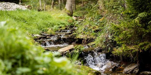 Wasserfall (C) Tourismusverband Oststeiermark, Klaus Ranger