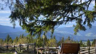 Wanderglück Wildwiesenhof