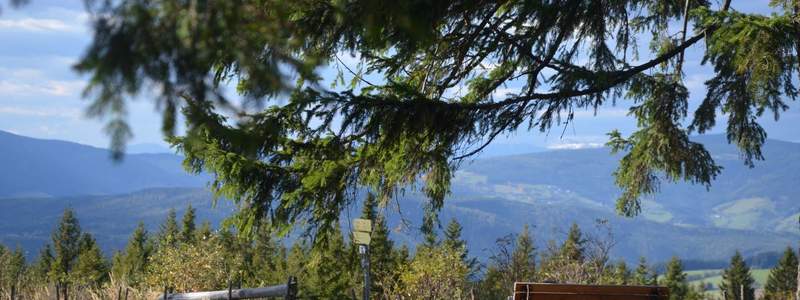 Aussicht auf der Wildwiese (C) Weber
