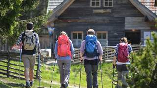 Wanderweg Wildwiese Steiermark