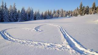 Winterromantik Mönichwalderhof