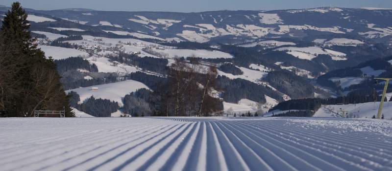 Skifahren in Strallegg (C) Almblick