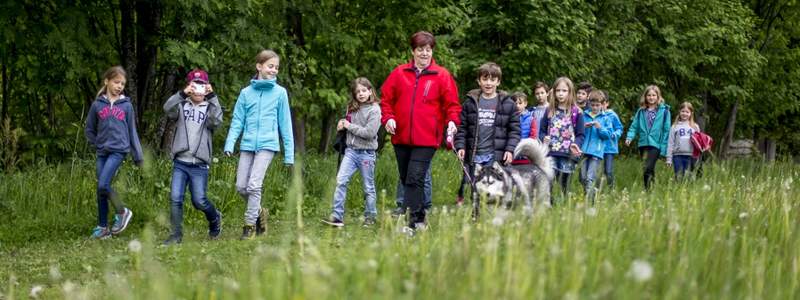 Familienurlaub beim Bauernhof Orthofer (C) Tomm Lamm