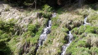 Hochwechsel Quellenweg Steiermark