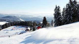 Familienschiberg St. Jakob im Walde