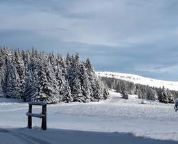 Schifahren und Langlaufen im Joglland und der Waldheimat
