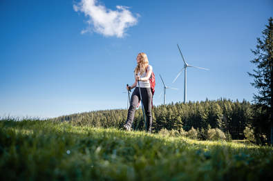 Wandern im Joglland (C) TV Joglland - Waldheimat, Klaus Ranger