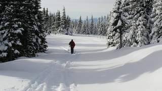 Schneeschuh Skitouren Winterwandern