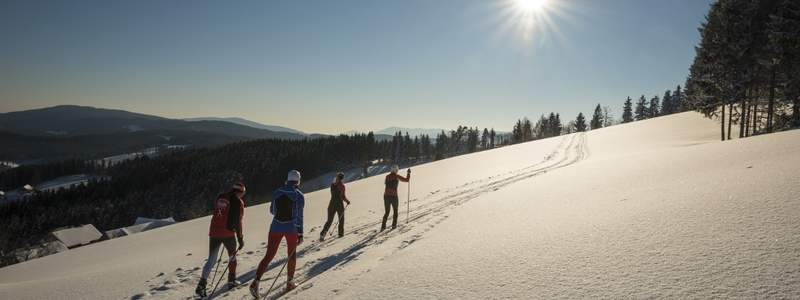 Langlaufen auf der Jogllandloipe (C) Gasthof Orthofer, Bernhard Bergmann