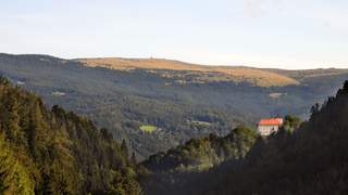 Waldbaden und Kraft tanken im Mönichwalderhof