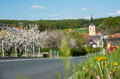 Gemeinde Grafendorf bei Hartberg der Kraftspendedörfer