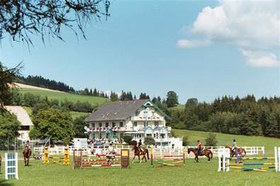 Reiten beim Narnhoferwirt in St. Jakob im Walde (c) Narnhoferwirt