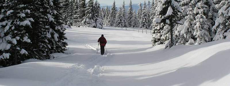 Schneeschuhtour zum Hauereck