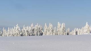 Schneebericht Schneehöhen