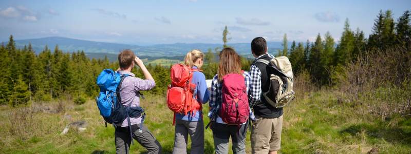 Wandern auf der Wildwiese (C) TV Joglland - Waldheimat, Kurt Elmleitner