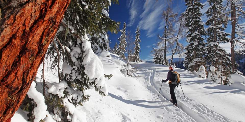 Teufelstein Wanderloipen Runde