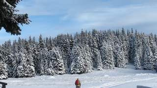 Durch die Fischbacher Winterwälder