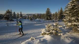 Langlauftage im Mönichwalderhof