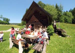 Natur Bewegung Urlaub Steiermark