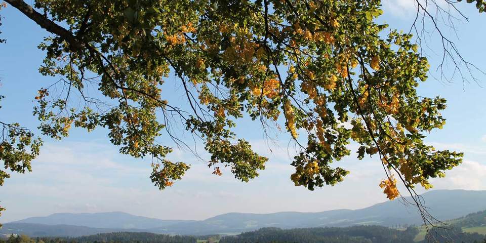 Herbsturlaub in der Steiermark