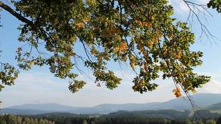 Herbsturlaub in der Steiermark