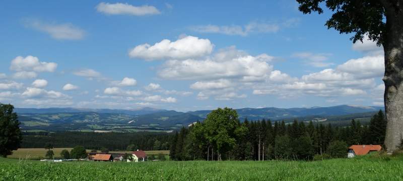 Ausblick ins Joglland (C) TV Joglland - Waldheimat