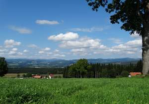 Sommerangebote in der Steiermark