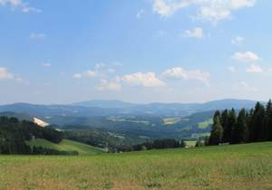 Urlaubsangebote Steiermark