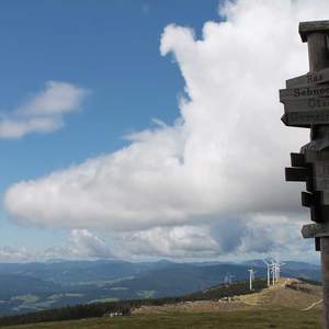 Aussicht vom Startpunkt der Tour, der Pretul (C) TV Joglland-Waldheimat