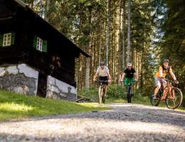 Der große Jogl in der Region Joglland - Waldheimat (C) Klaus Ranger Fotografie