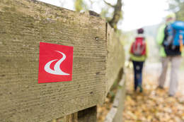 Wandern auf alpannonia (C) TV Joglland - Waldheimat, Zsolt Marton