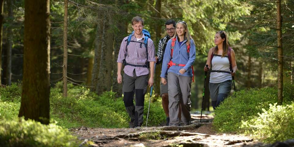 Anspruchsvolle Wanderwege Steiermark