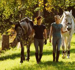 Spaziergang mit Pferden in der Steiermark (c) Steiermark Tourismus photo-austria.at