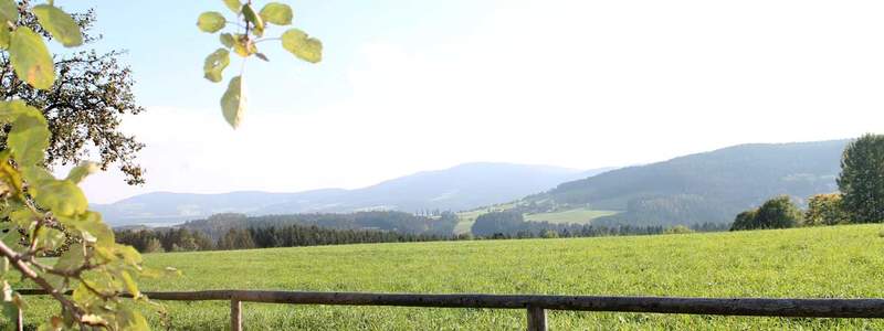 Die Region Joglland - Waldheimat mit allen Sinnen genießen