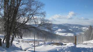 Falkensteiner Winterwanderweg