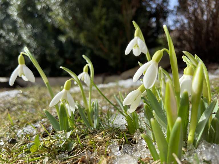 Frühlingsangebote