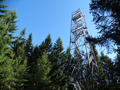 Wildwiesenwarte (C) TV Joglland - Waldheimat