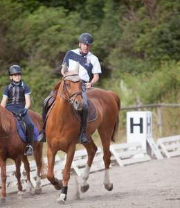 Reiten am Ponyhof (C) Der Ponyhof