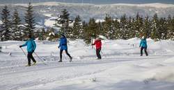 Langlaufen lernen beim Gasthof Orthofer (C) Bernhard Bergmann