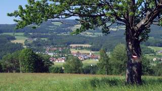 Rundwanderweg Miesenbach Steiermark