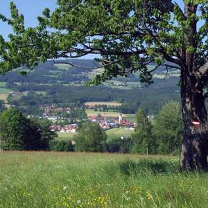 Miesenbach (C) TV Miesenbach, Studio Fotogen