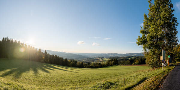 Landschaft (C) Tourismusverband Oststeiermark, Klaus Ranger.jpg