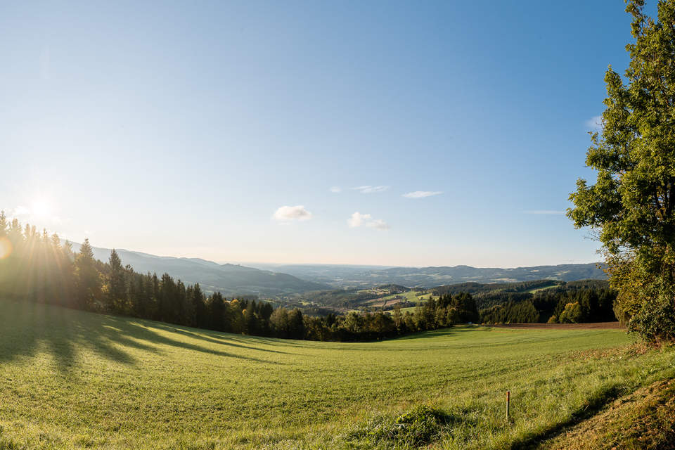 Sommerangebote