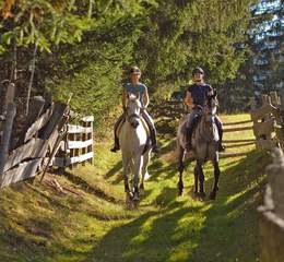 Reiten in der Steiermark (c) Steiermark Tourismus, photo-austria.at