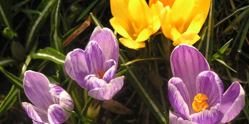 Urlaub im Frühling in der Steiermark