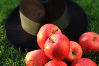 Äpfel für Apfelstrudel (c) Steiermark Tourismsu