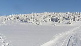 Alpin trifft Langlauf