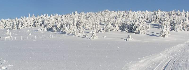 Langlaufen und Skifahren in der Region (C) TV Joglland - Waldheimat, Zingl