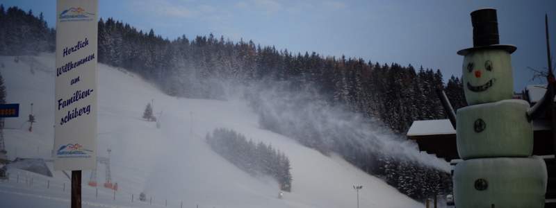 Winterfrösche (C) Landhotel Berger